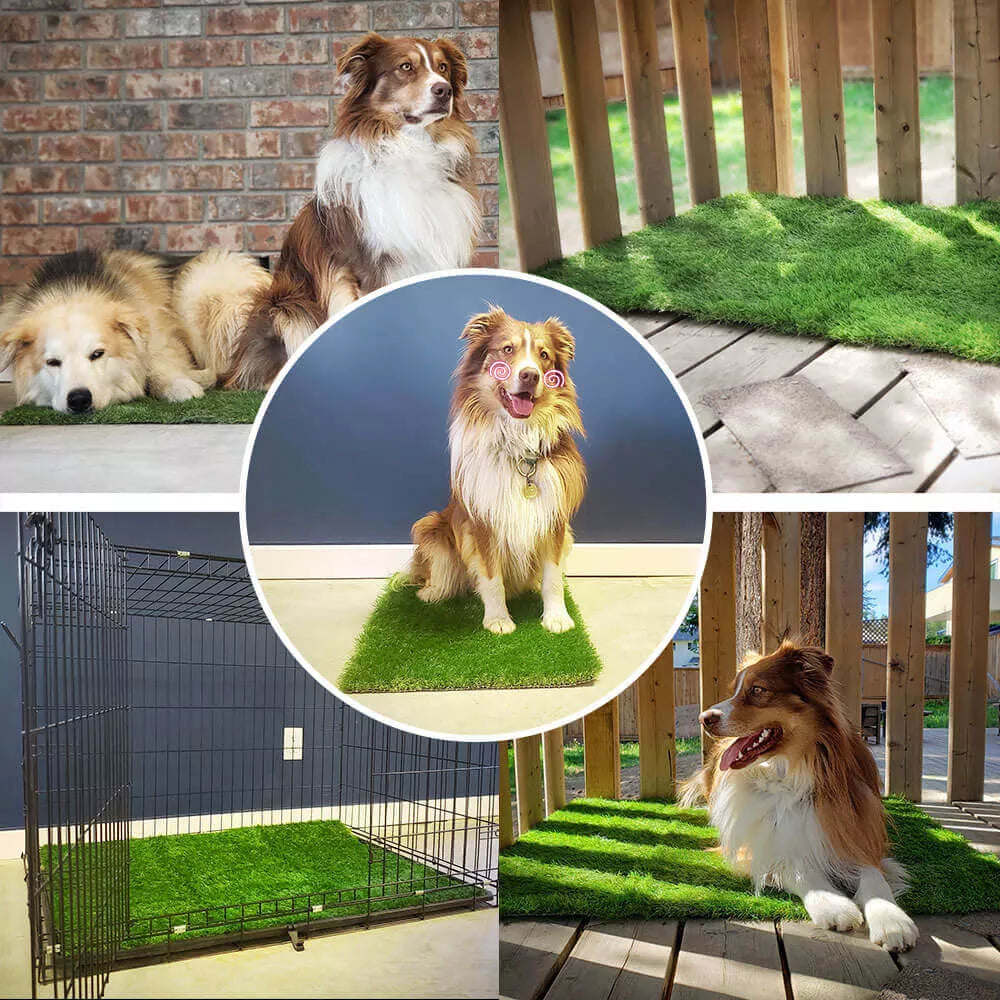 PawTurf | Ultieme binnen- en buitenmat voor hondengras