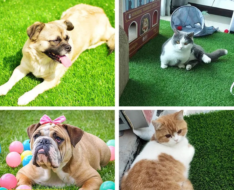 PawTurf | Ultieme binnen- en buitenmat voor hondengras