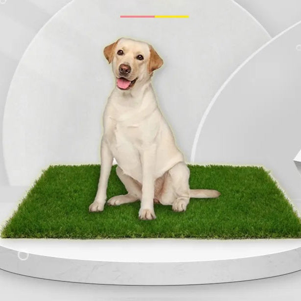 PawTurf | Ultieme binnen- en buitenmat voor hondengras