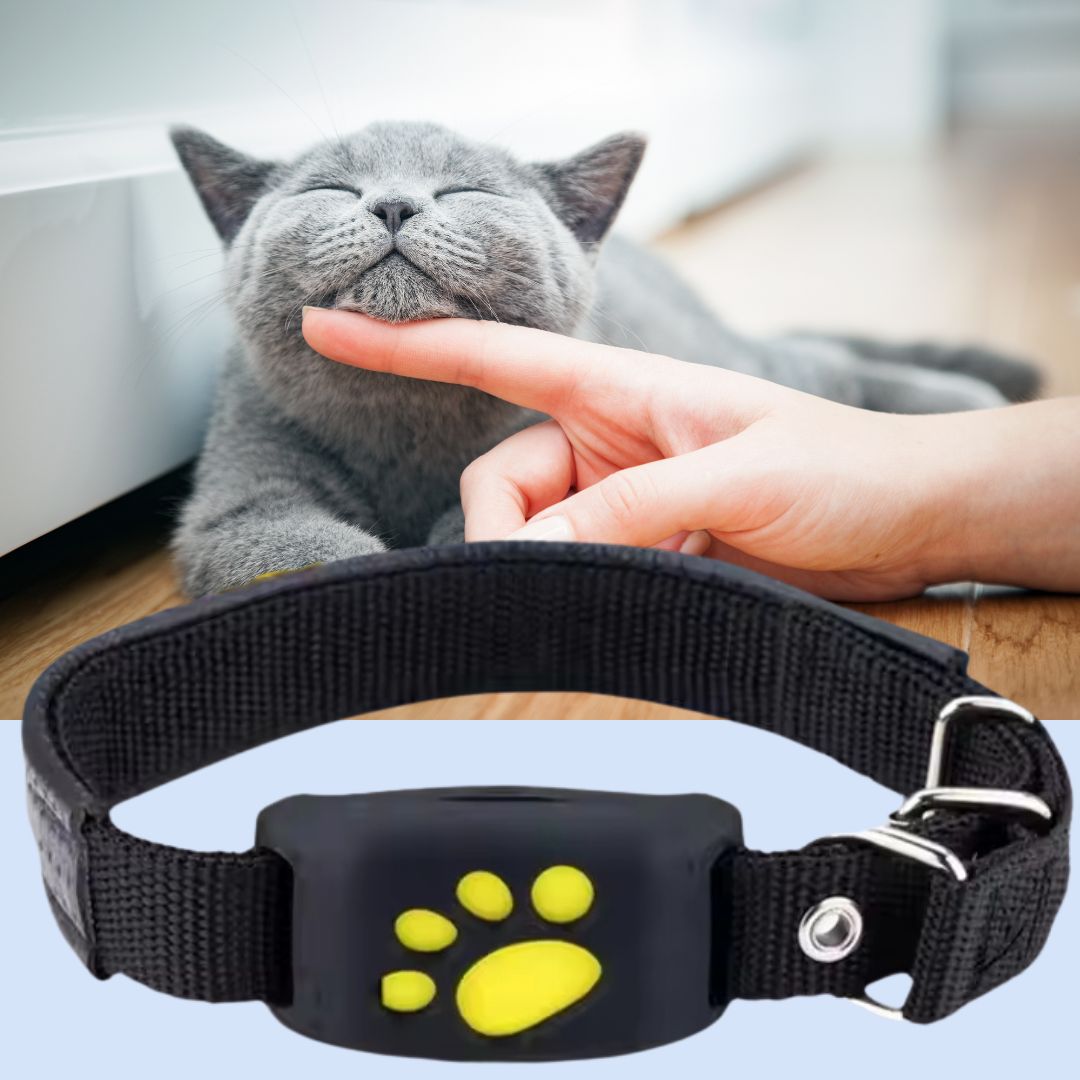 PurrTrack | GPS Katten Tracker in real time