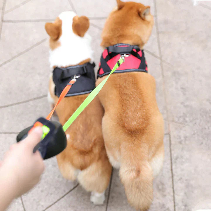 PawGlide | Kluwenvrije Dubbele Hondenriem