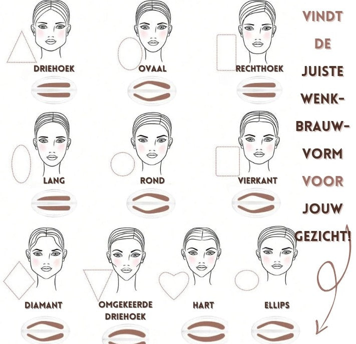 Browline - Jouw weg naar moeiteloze wenkbrauwperfectie!