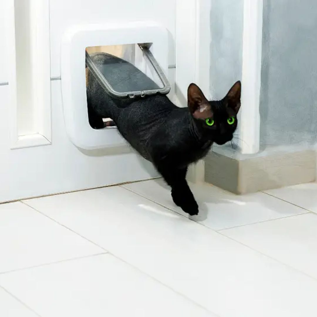 PawsWay | Vrijheid Kattenluik