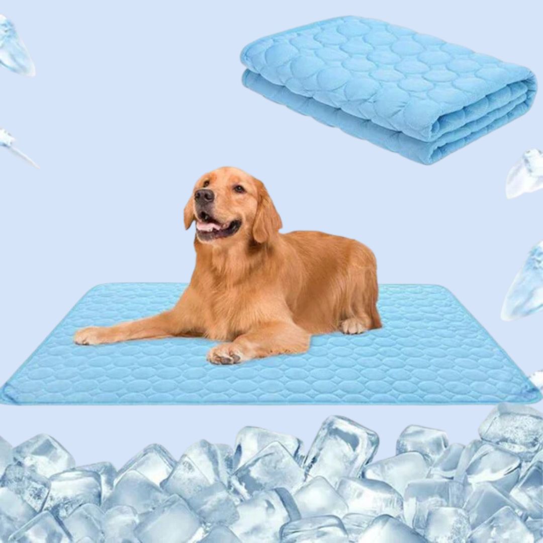 FrostPaw | Koelmat voor huisdieren