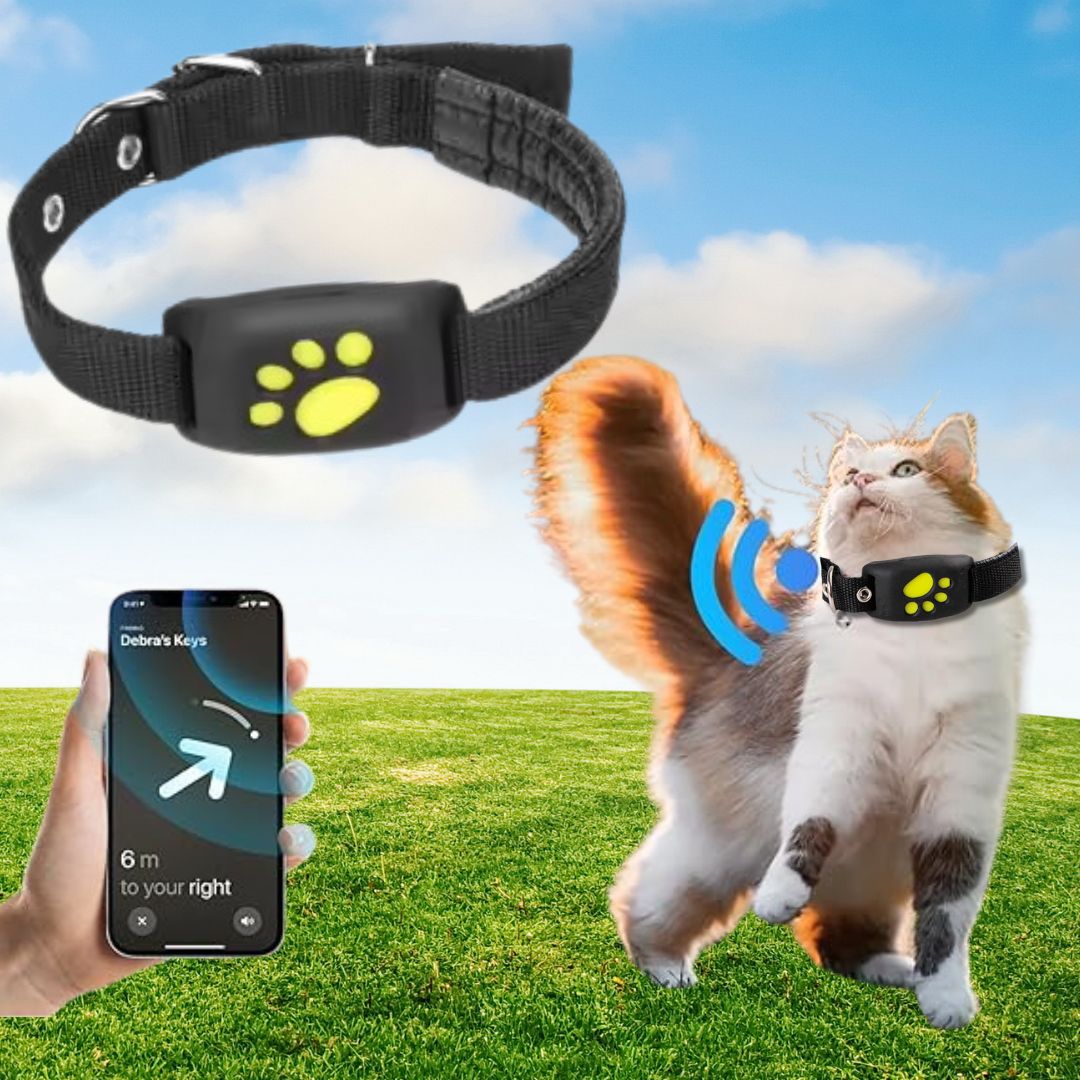 PurrTrack | GPS Katten Tracker in real time