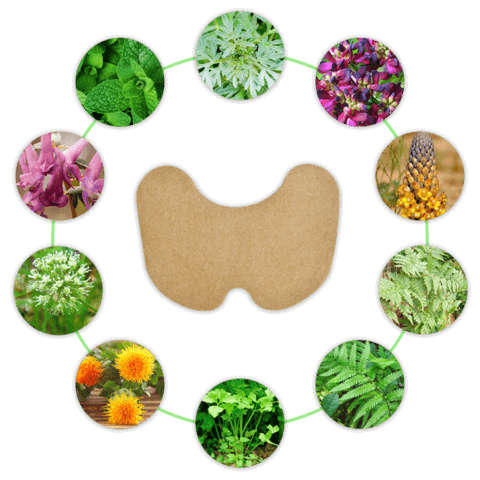 NaturEase | Back Pain Relief Kit