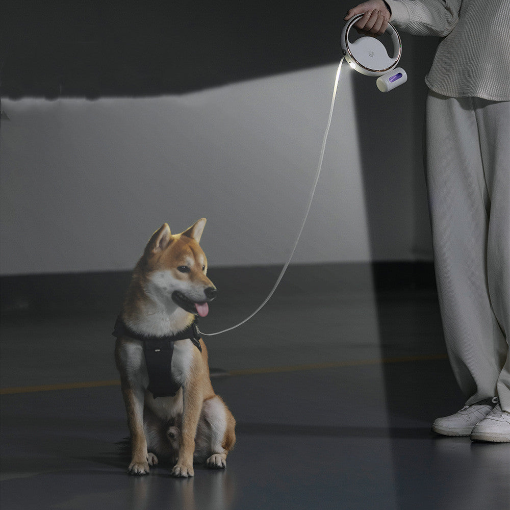 NightPaws | LED hondenriem met ingebouwde zaklamp