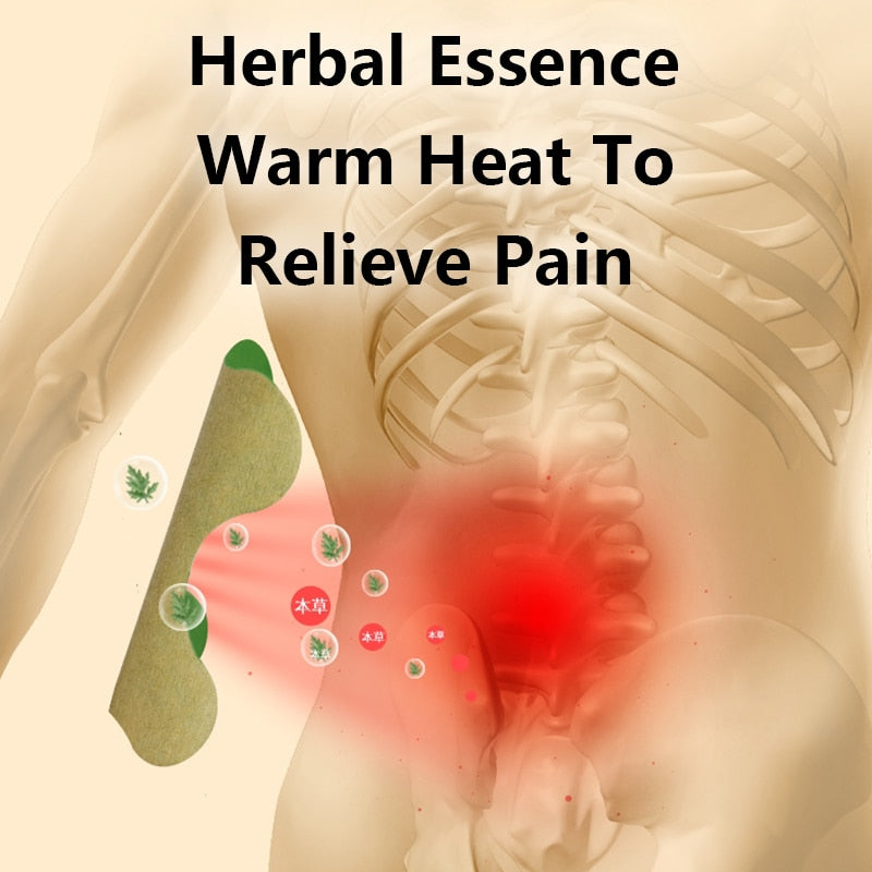 NaturEase | Back Pain Relief Kit