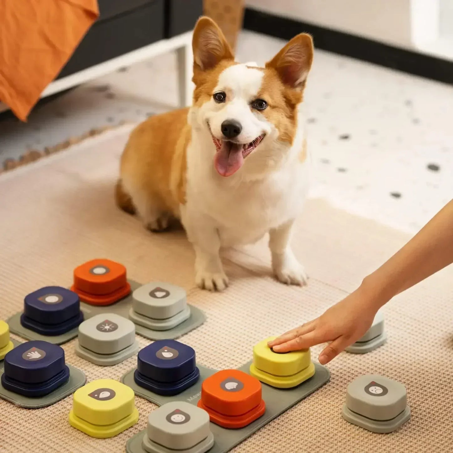 BarkSpeak | Knoppenset hondenpraat