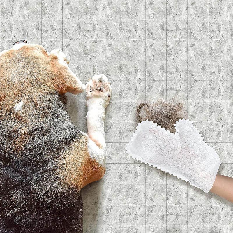 DustGrip | Zeer efficiënte handschoenen voor het reinigen van visschubben (10 stuks)