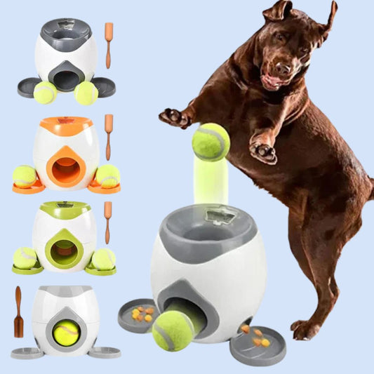 PlayPal | Hond Speelmaatje
