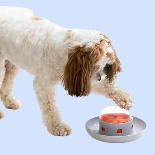 PawMaze | Honden Voerbak Avontuur