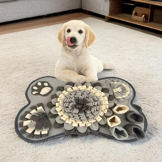 PawQuest | Interactieve Snuffelmat