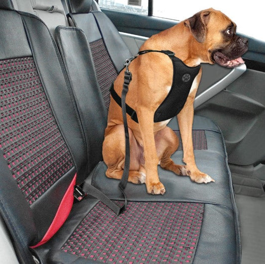 PupGuard | Veiligheidsgordel hond auto