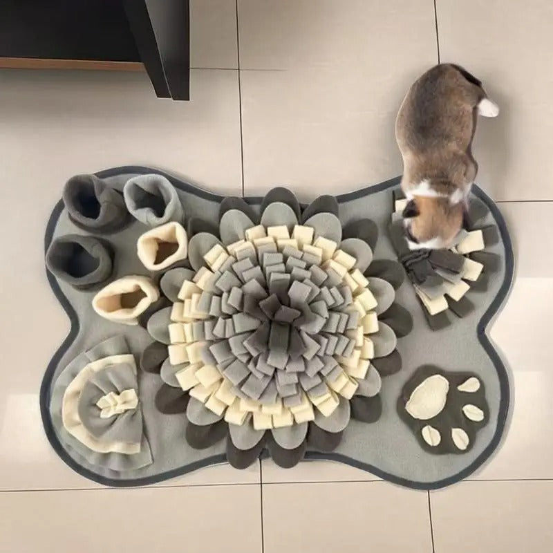 PawQuest | Interactieve Snuffelmat