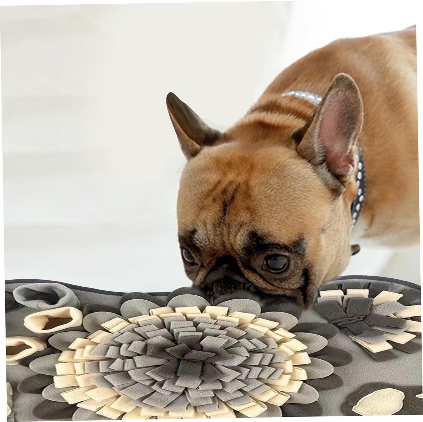PawQuest | Interactieve Snuffelmat