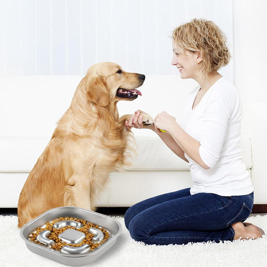 PawsEase | Langzaam Eten Hondenbak